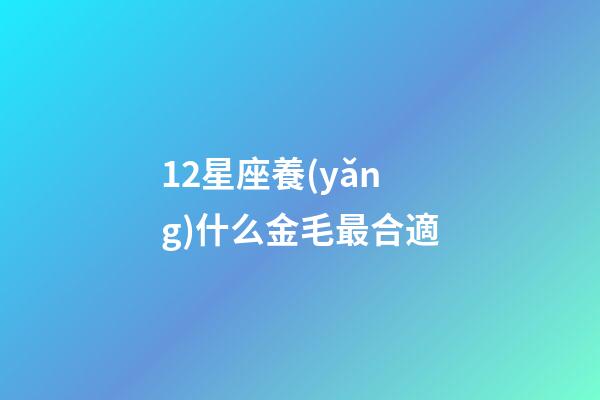 12星座養(yǎng)什么金毛最合適-第1張-星座運(yùn)勢(shì)-玄機(jī)派