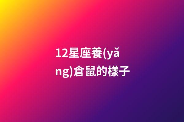 12星座養(yǎng)倉鼠的樣子-第1張-星座運勢-玄機派