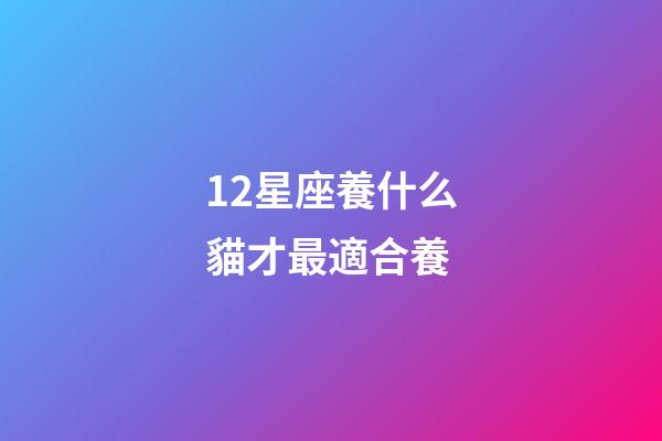 12星座養什么貓才最適合養-第1張-星座運勢-玄機派