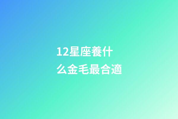 12星座養什么金毛最合適-第1張-星座運勢-玄機派