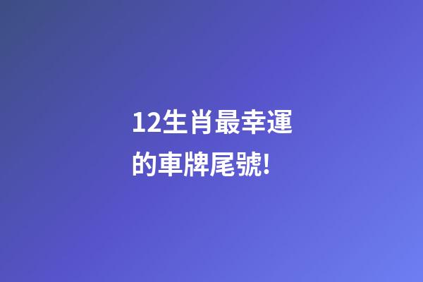 12生肖最幸運的車牌尾號!-第1張-觀點-玄機派