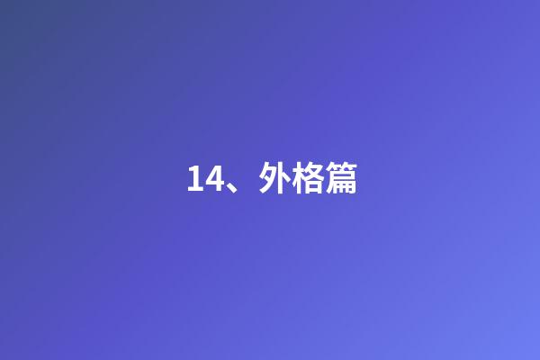 14、外格篇