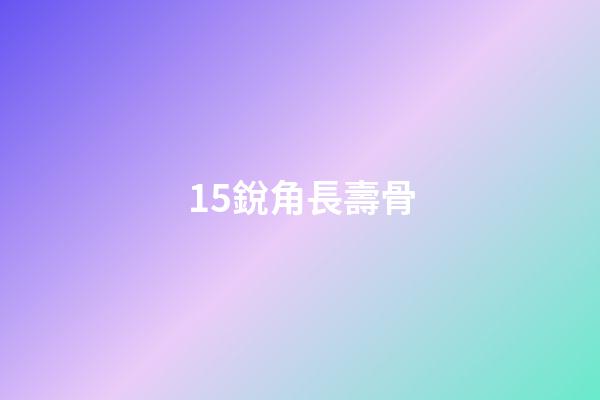 15.銳角長壽骨