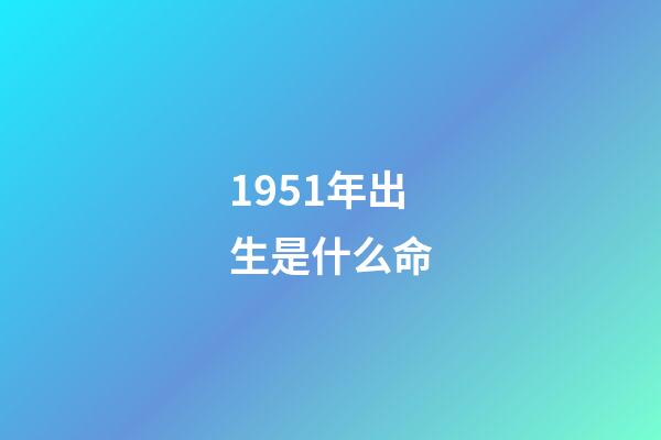 1951年出生是什么命