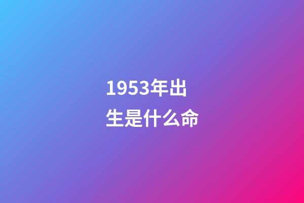 1953年出生是什么命