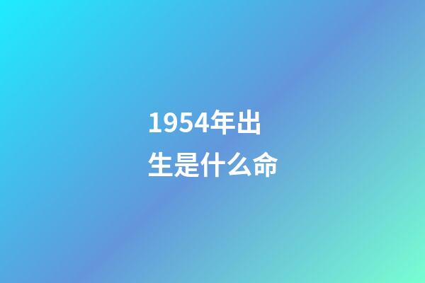 1954年出生是什么命