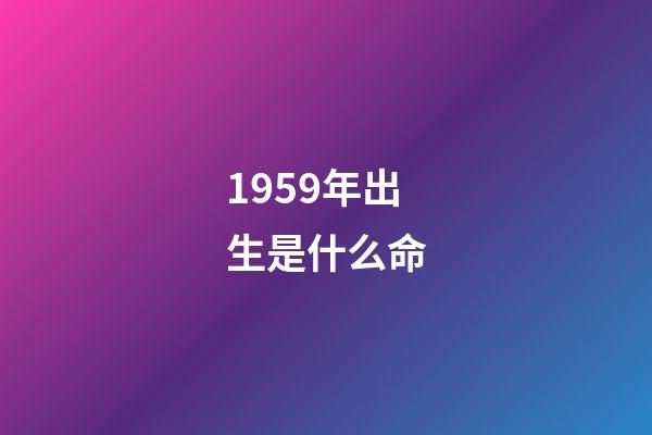 1959年出生是什么命