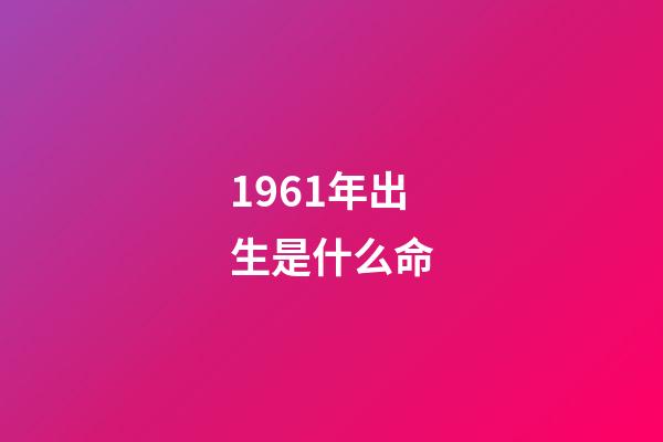 1961年出生是什么命