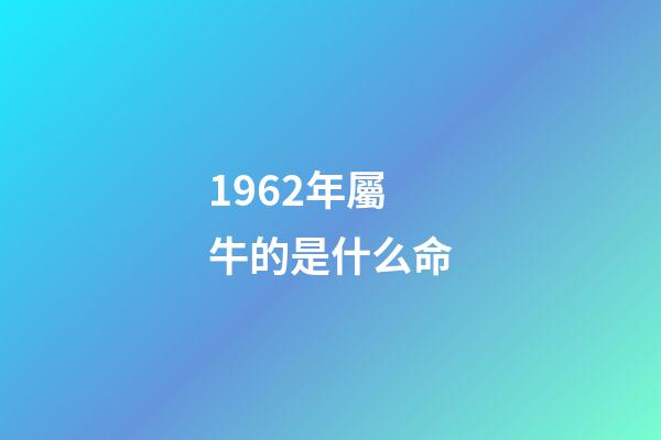 1962年屬牛的是什么命(60,61,62年鼠牛虎的財運)-第1張-觀點-玄機派