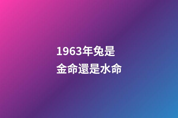 1963年兔是金命還是水命(1963年出生的公務員，40年的工齡，退休能領多高的養老金？)-第1張-觀點-玄機派