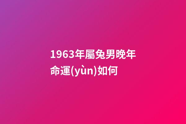 1963年屬兔男晚年命運(yùn)如何(專家統(tǒng)計(jì)：這三大生肖晚年多是多福多金之人!)-第1張-觀點(diǎn)-玄機(jī)派