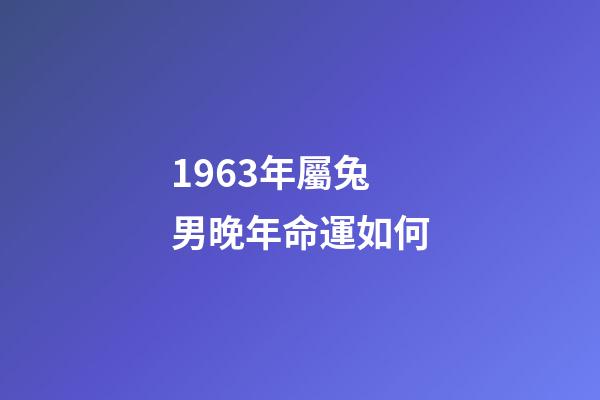 1963年屬兔男晚年命運如何(專家統計：這三大生肖晚年多是多福多金之人!)-第1張-觀點-玄機派
