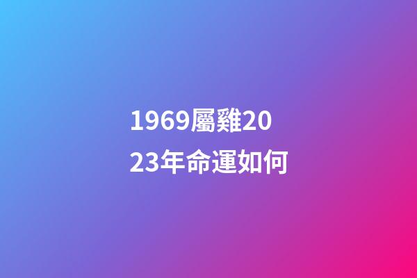 1969屬雞2023年命運如何(1969年出生的男性要延遲退休嗎？)-第1張-觀點-玄機派