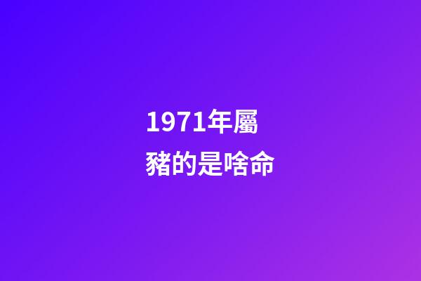 1971年屬豬的是啥命(1961~1971年出生且當年交過計劃生育罰款的農民，現如今要享福了)-第1張-觀點-玄機派