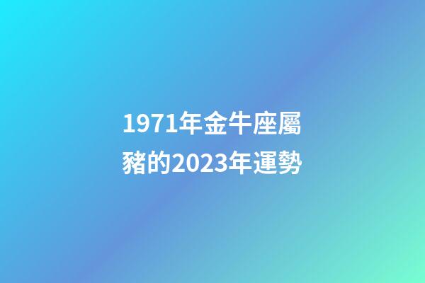 1971年金牛座屬豬的2023年運勢-第1張-星座運勢-玄機派