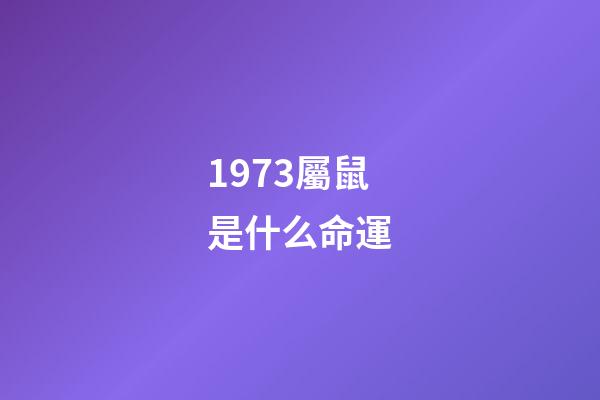 1973屬鼠是什么命運(聽風觀雨系列之二發小篇——命運多舛的紅哥2、一路走好)-第1張-觀點-玄機派