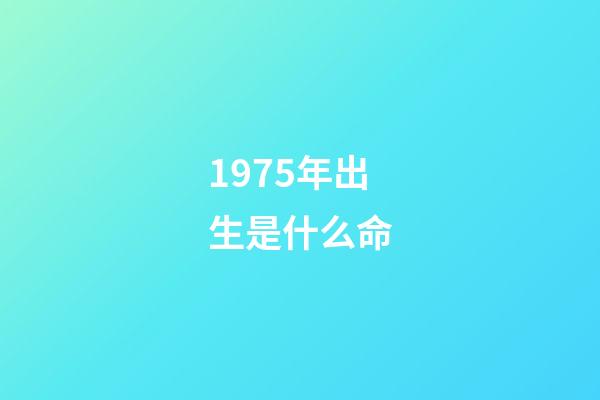 1975年出生是什么命