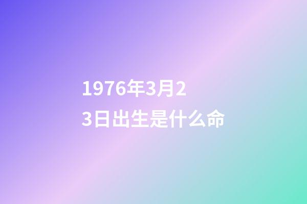 1976年3月23日出生是什么命(撒貝寧和李白的故事)-第1張-觀點-玄機派