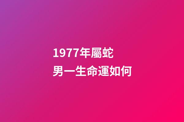 1977年屬蛇男一生命運如何(53、65、77年肖蛇人在17年運程)-第1張-觀點-玄機派