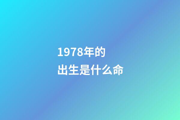 1978年的出生是什么命