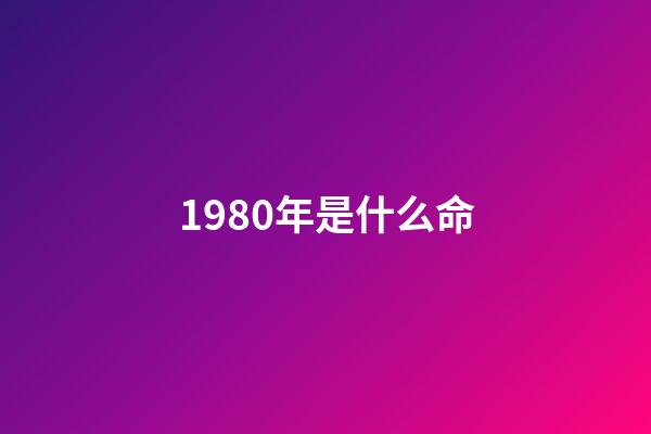 1980年是什么命（1980石榴木命的貴人是什么）-第1張-星座運勢-玄機派