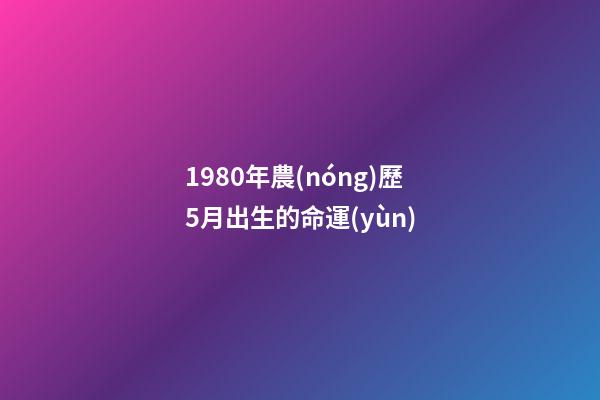 1980年農(nóng)歷5月出生的命運(yùn)(從農(nóng)歷出生月份看你一生會(huì)是富翁還是“負(fù)翁”？)-第1張-觀(guān)點(diǎn)-玄機(jī)派