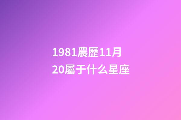 1981農歷11月20屬于什么星座-第1張-星座運勢-玄機派