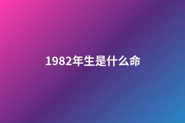 1982年生是什么命
