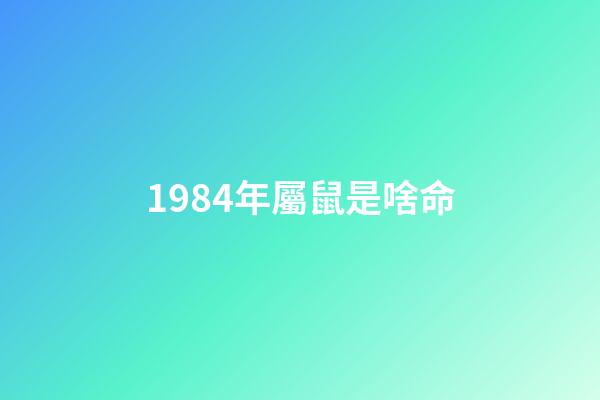1984年屬鼠是啥命(從出生年份看財運，誰一輩子不會缺錢，生活最滋潤)-第1張-觀點-玄機派