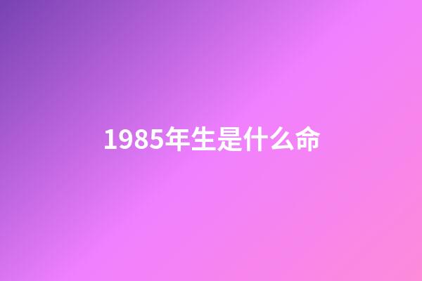 1985年生是什么命