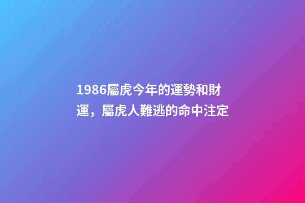 1986屬虎今年的運勢和財運，屬虎人難逃的命中注定-第1張-觀點-玄機派