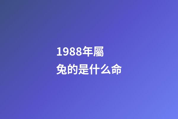 1988年屬兔的是什么命(「單身男女」1988年男公務員：有車、房，家庭無負擔)-第1張-觀點-玄機派