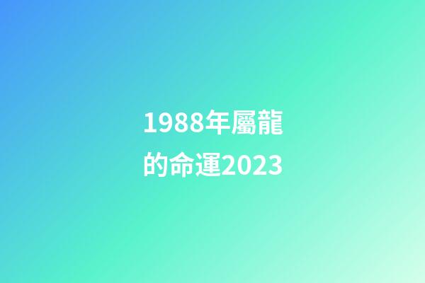 1988年屬龍的命運2023(明年桃花運旺，好運接連到來的生肖)-第1張-觀點-玄機派