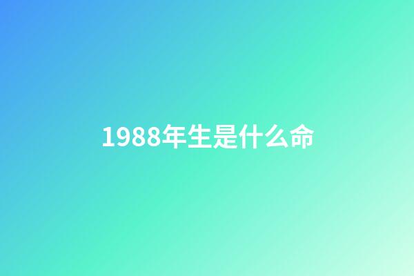 1988年生是什么命