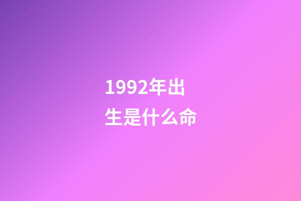 1992年出生是什么命