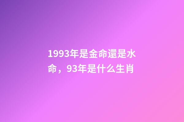 1993年是金命還是水命，93年是什么生肖