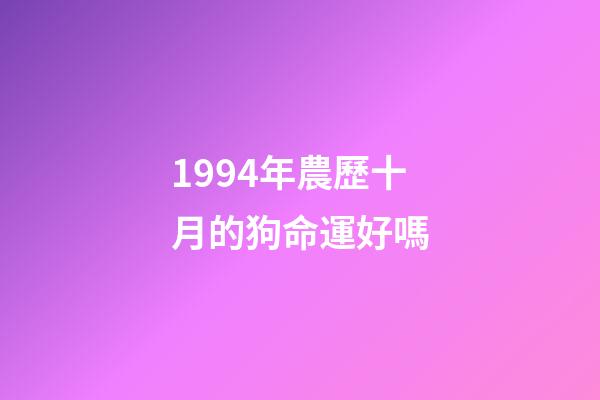 1994年農歷十月的狗命運好嗎(12生肖女哪年哪月出生最容易嫁給好男人)-第1張-觀點-玄機派