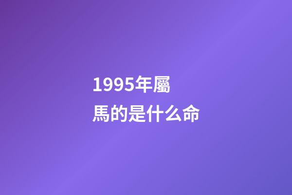 1995年屬馬的是什么命(十二生肖有哪些是家畜？)-第1張-觀點-玄機派