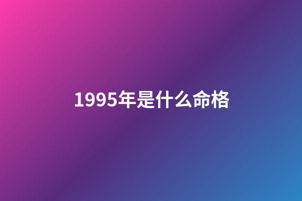 1995年是什么命格(有這種手相特征的人，注定是離婚再婚的命格)-第1張-觀點-玄機派