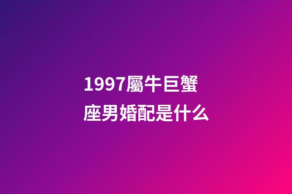 1997屬牛巨蟹座男婚配是什么-第1張-星座運勢-玄機派