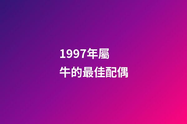 1997年屬牛的最佳配偶（97年屬牛女的正緣）-第1張-星座運勢-玄機派