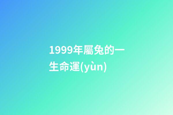 1999年屬兔的一生命運(yùn)(土兔之命 土兔命運(yùn)好嗎)-第1張-觀點(diǎn)-玄機(jī)派
