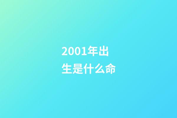2001年出生是什么命