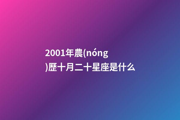 2001年農(nóng)歷十月二十星座是什么-第1張-星座運(yùn)勢(shì)-玄機(jī)派