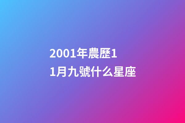 2001年農歷11月九號什么星座-第1張-星座運勢-玄機派