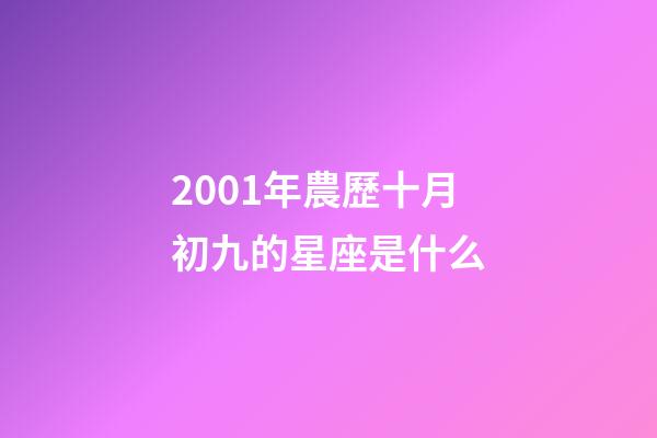 2001年農歷十月初九的星座是什么-第1張-星座運勢-玄機派
