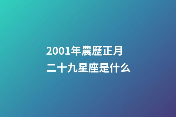 2001年農歷正月二十九星座是什么-第1張-星座運勢-玄機派