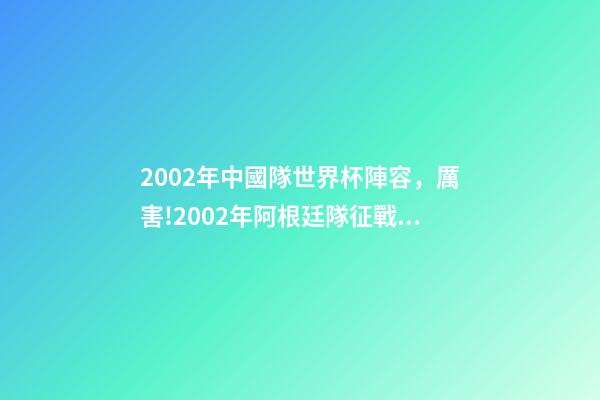 2002年中國隊世界杯陣容，厲害!2002年阿根廷隊征戰世界杯首發陣容-第1張-觀點-玄機派
