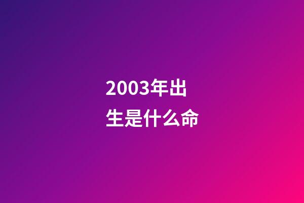 2003年出生是什么命