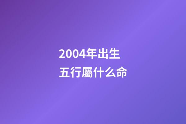 2004年出生五行屬什么命(五行缺金地)-第1張-觀點-玄機派